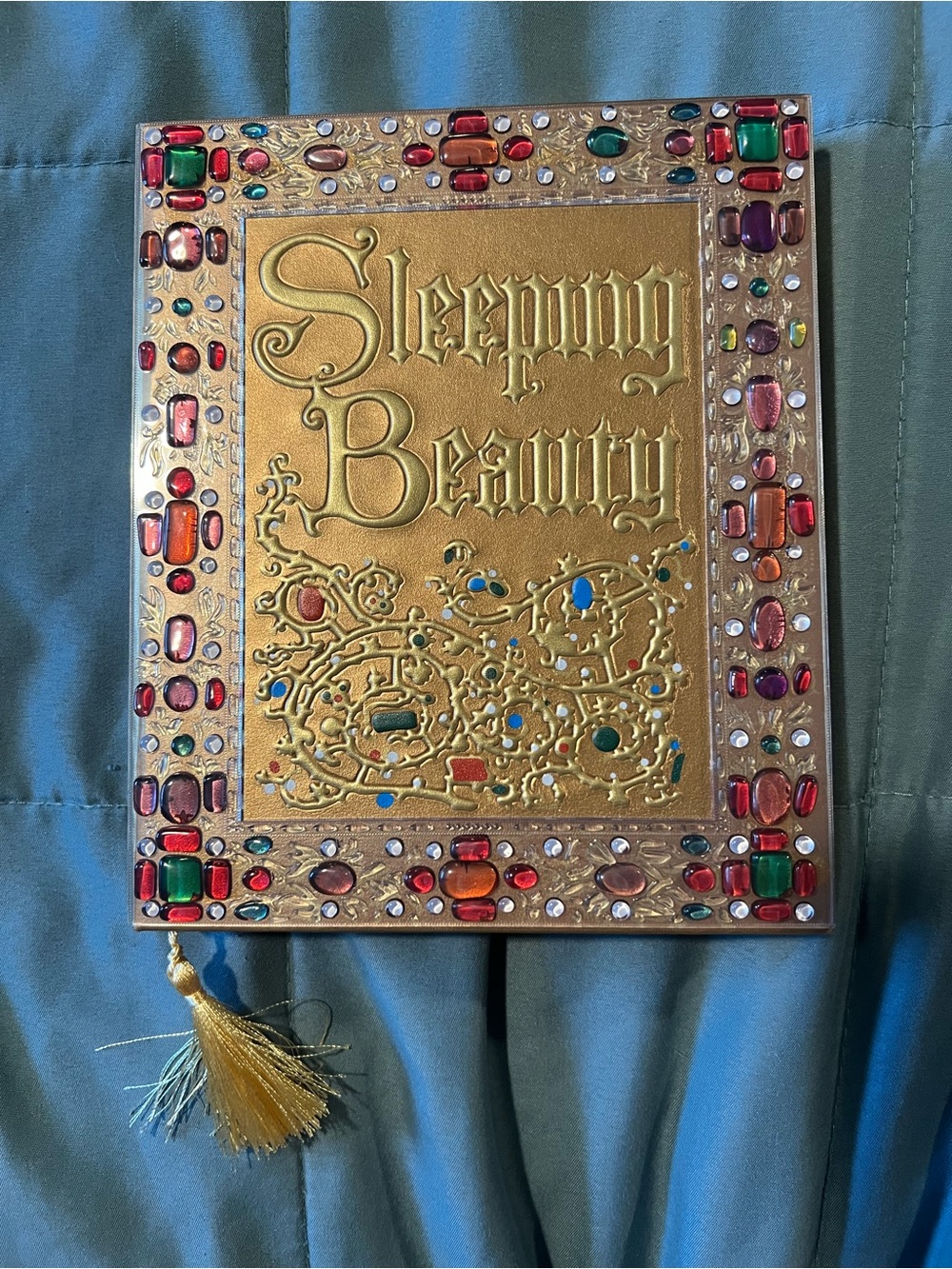 Disneyland Sleeping Beauty Journal